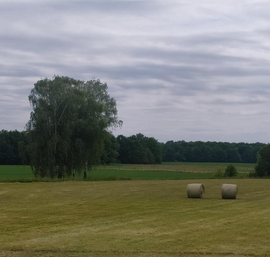 Ubytovani U Sobotku Třeboň Dış mekan fotoğraf